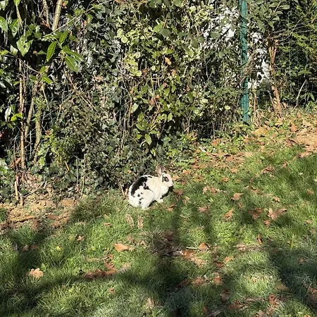 La Maison De Madeleine Livron