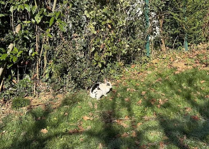 La Maison De Madeleine Livron